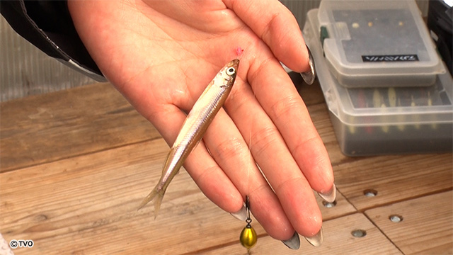 external_image external_image