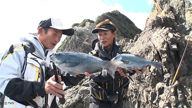 external_image external_image