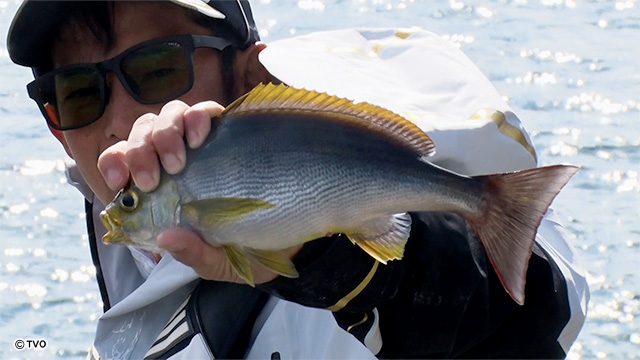 external_image external_image