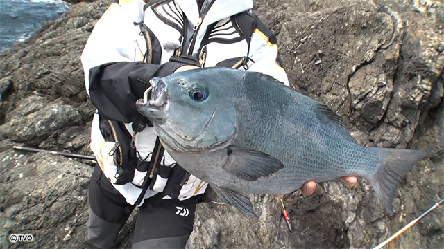 external_image external_image