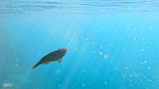 external_image external_image