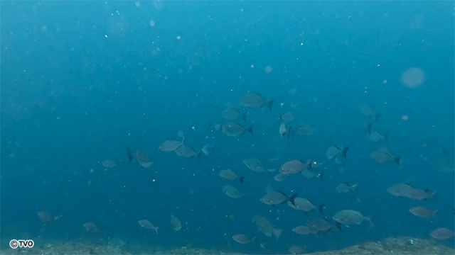 external_image external_image