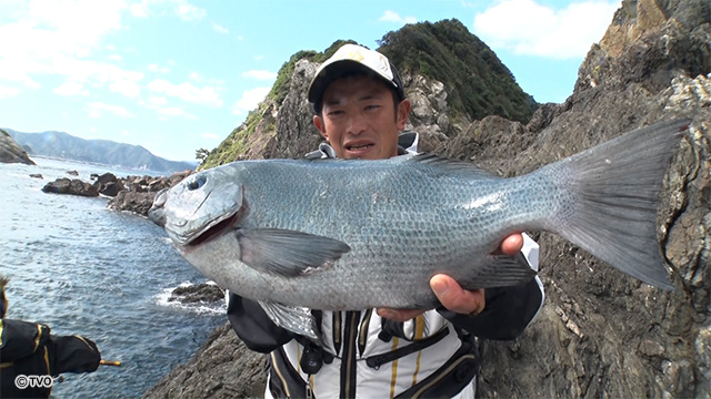 external_image external_image