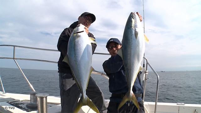 external_image external_image