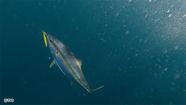 external_image external_image