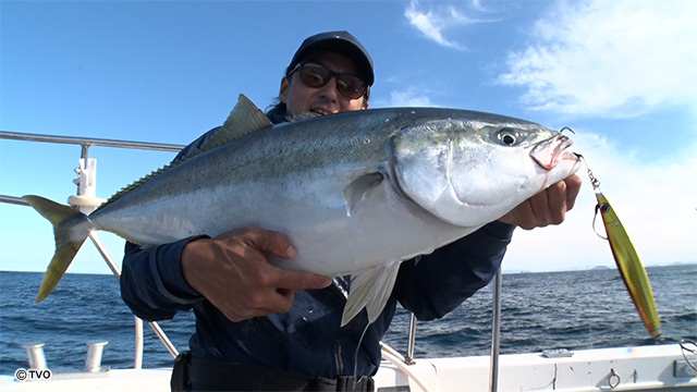 external_image external_image