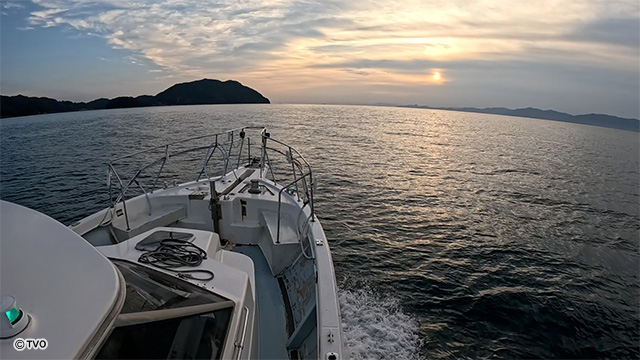 external_image external_image