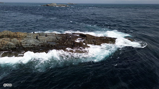 external_image external_image