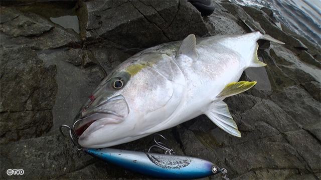 external_image external_image