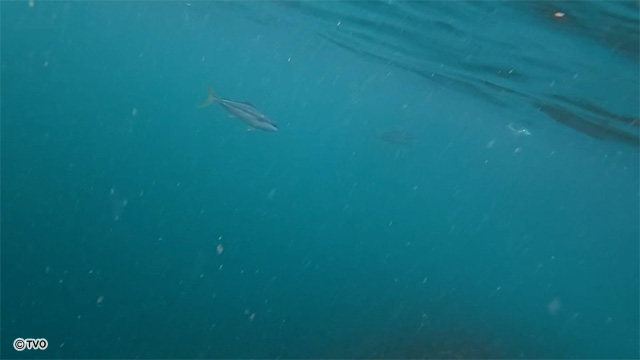 external_image external_image