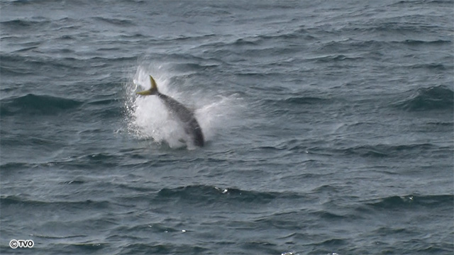 external_image external_image