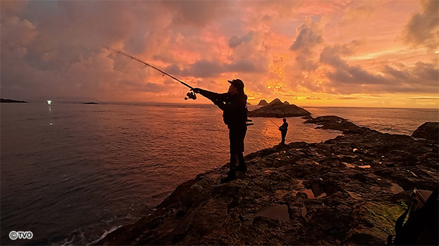 external_image external_image