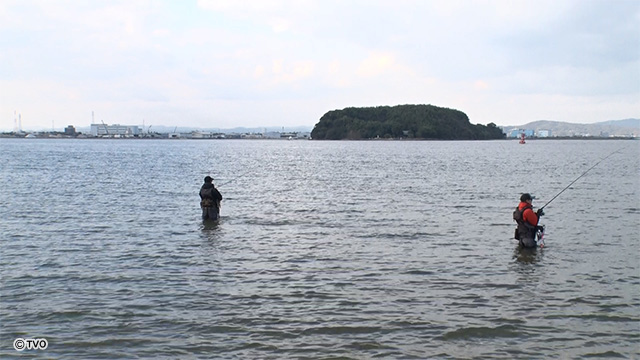 external_image external_image