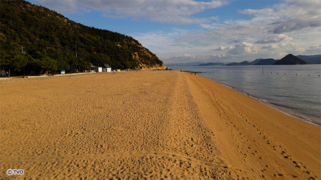 external_image external_image