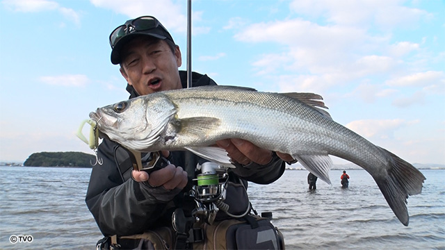 external_image external_image