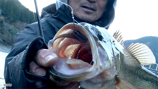 external_image external_image