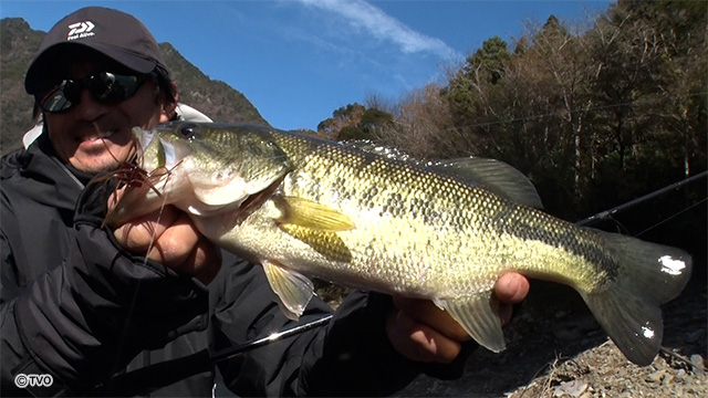 external_image external_image