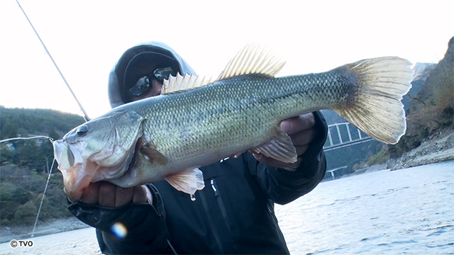 external_image external_image