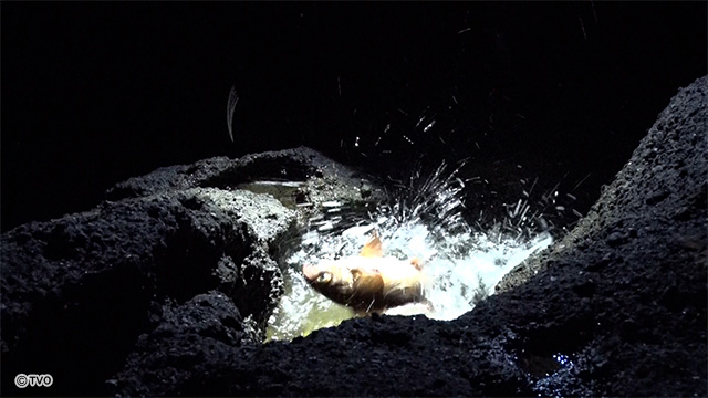 external_image external_image