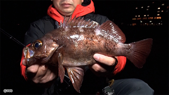 external_image external_image