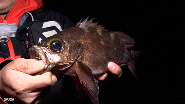 external_image external_image