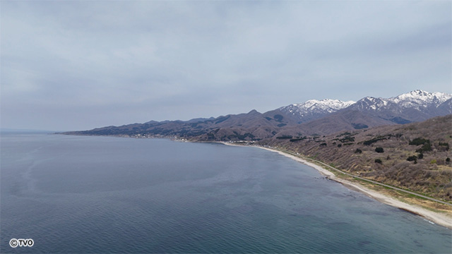 external_image