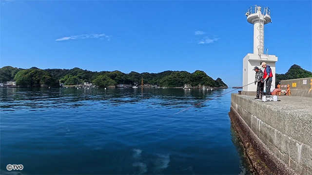 external_image