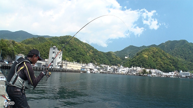 external_image