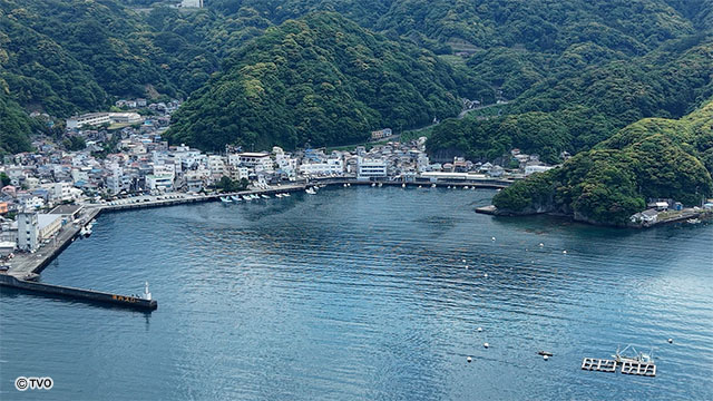external_image