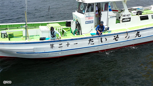 external_image