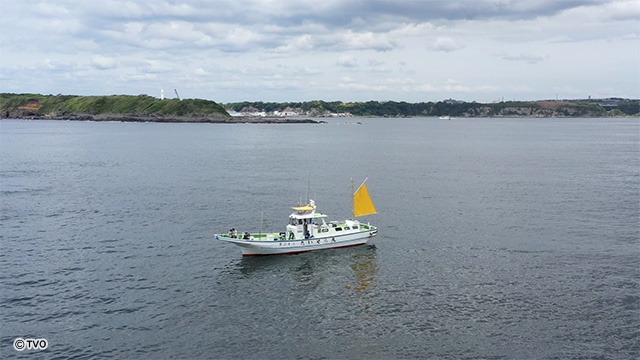 external_image
