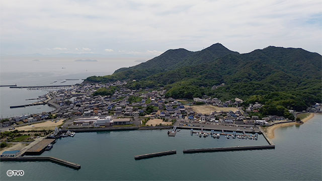 external_image