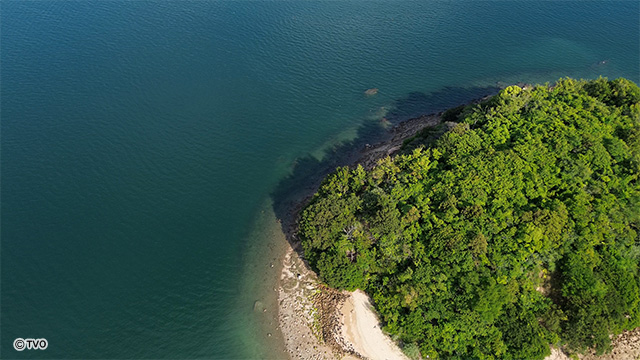 external_image