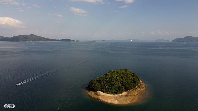 external_image