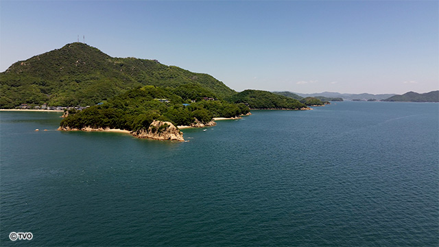 external_image