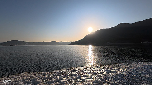 external_image