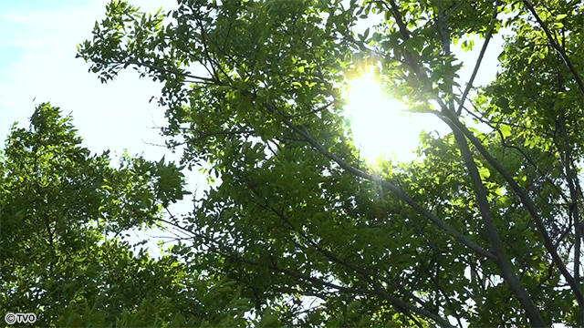 external_image external_image