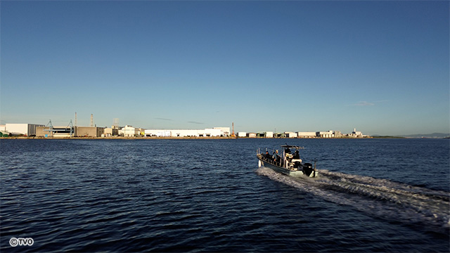 external_image