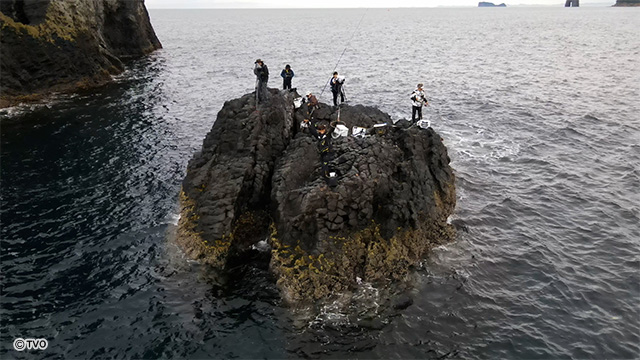 external_image
