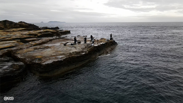 external_image