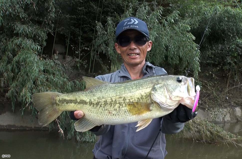 Angler: 折金　一樹