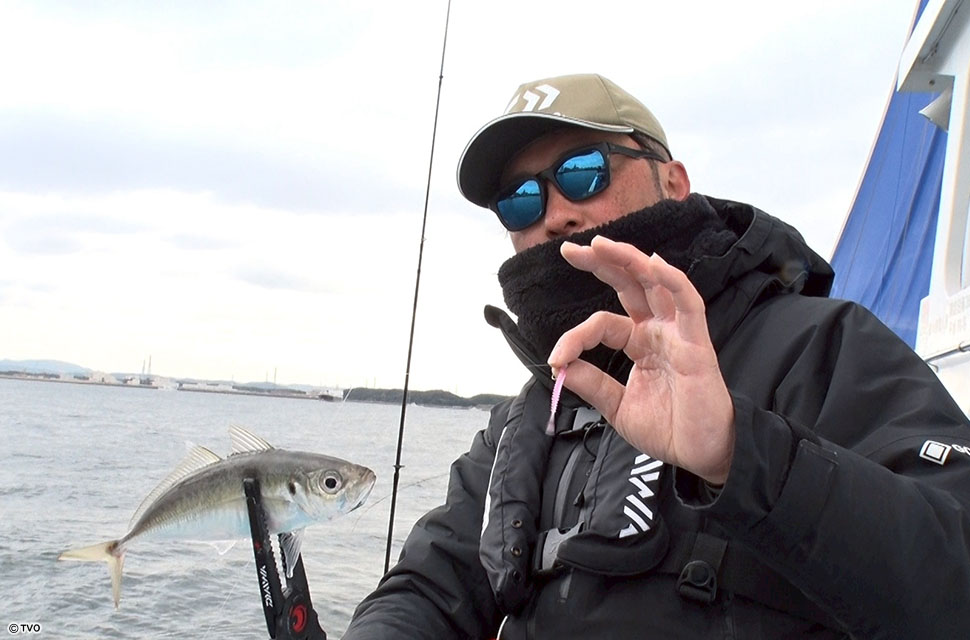 Angler: 橋詰　大輔