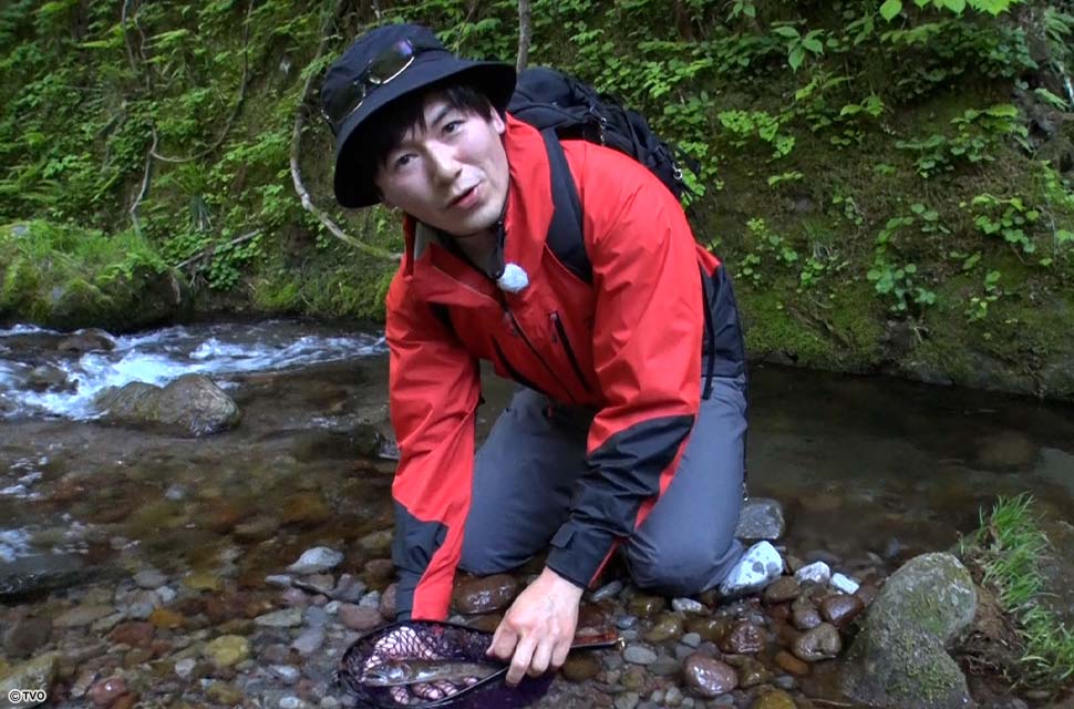 Angler: 小林　将大
