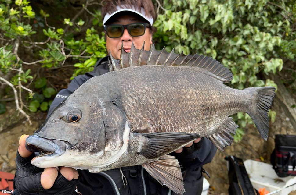 Angler: 木村　公治