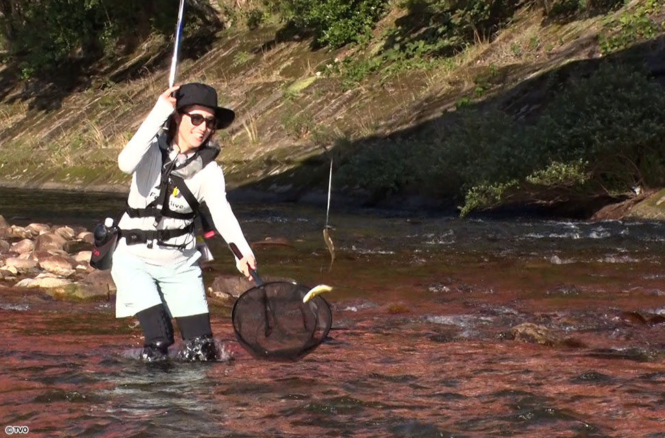 Angler: 光安　友香莉