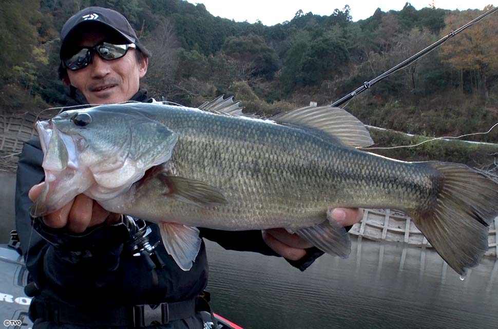 Angler: 並木　敏成