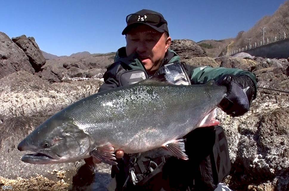 Angler: 佐藤　博之