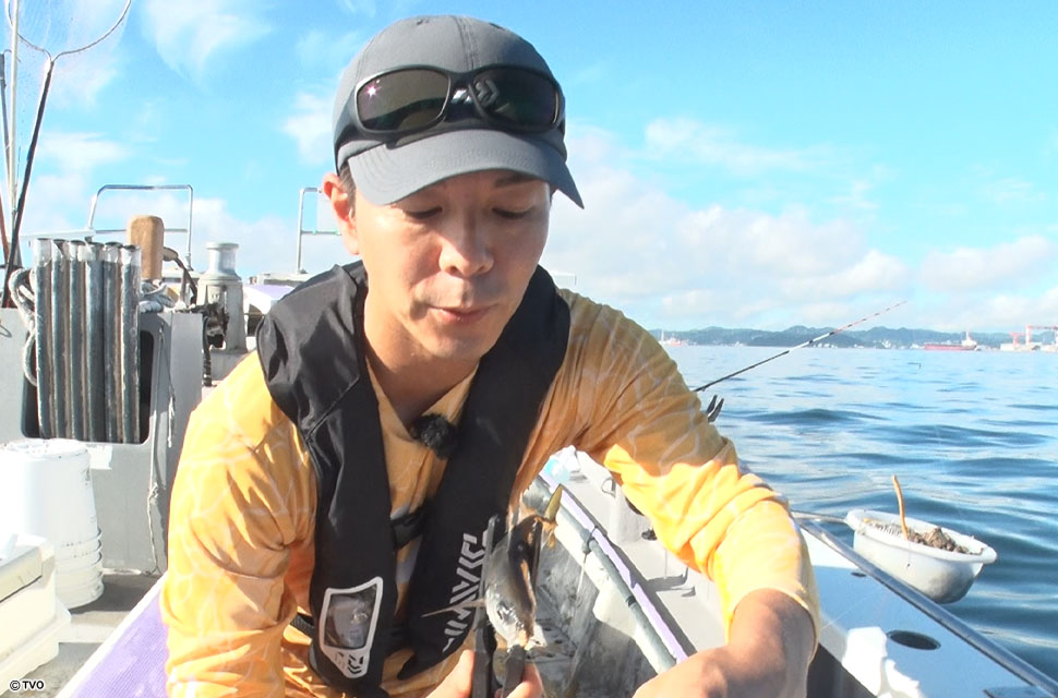 Angler: 高槻　慧