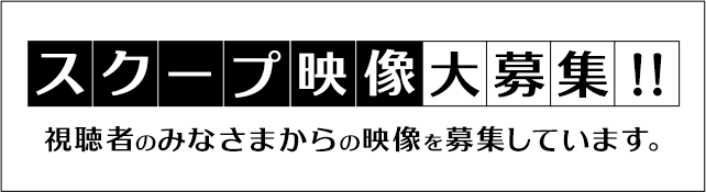 スクープ映像大募集！