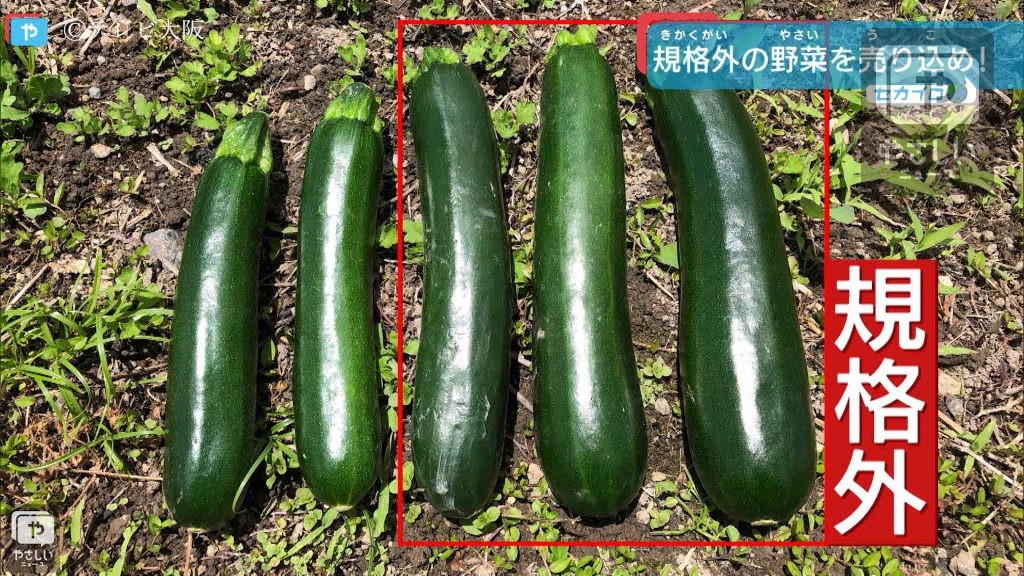 人気の不揃い野菜で目指すはフードロス削減